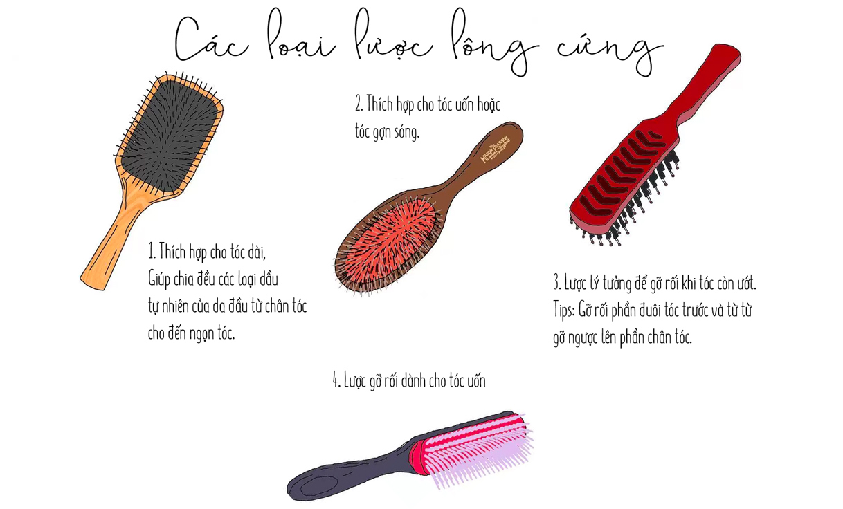 Các loại lược lòng cứng: 1. Thích hợp cho tóc dài, giúp chia đều các loại dầu tự nhiên của da đầu từ chân tóc cho đến ngọn tóc. 2. Thích hợp cho tóc uốn hoặc tóc gọn sóng. 3. Lược lý tưởng để gỡ rối khi tóc còn ướt. Tips: Gỡ rối phần đuôi tóc trước và từ từ gỡ ngược lên phần chân tóc.