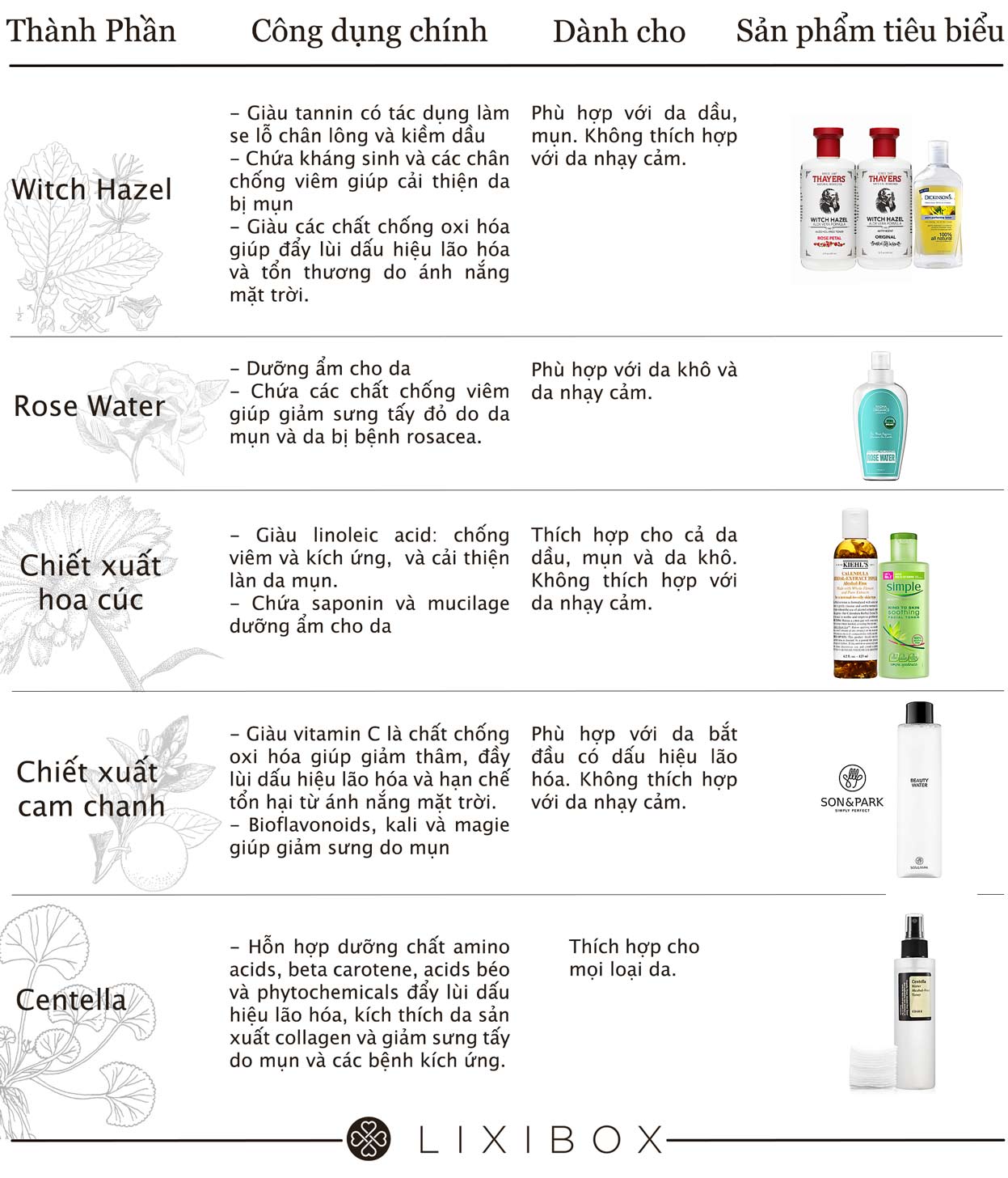 Bảng thành phần toner, công dụng, và loại da phù hợp cho từng loại chiết xuất: Witch Hazel, Rose Water, Chiết xuất hoa cúc, Chiết xuất cam chanh, và Centella. Cung cấp thông tin chi tiết về các sản phẩm dưỡng da thiết yếu.