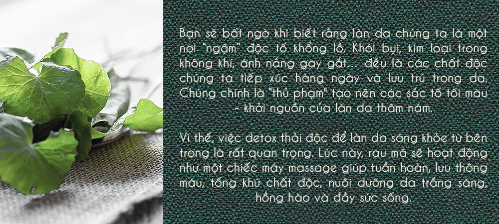Tái tạo làn da toàn diện cùng rau má - một thần dược cho mái tóc sức sống. Khám phá những tác dụng thần kỳ của rau má trong skincare để làn da luôn tươi sáng và khỏe mạnh.