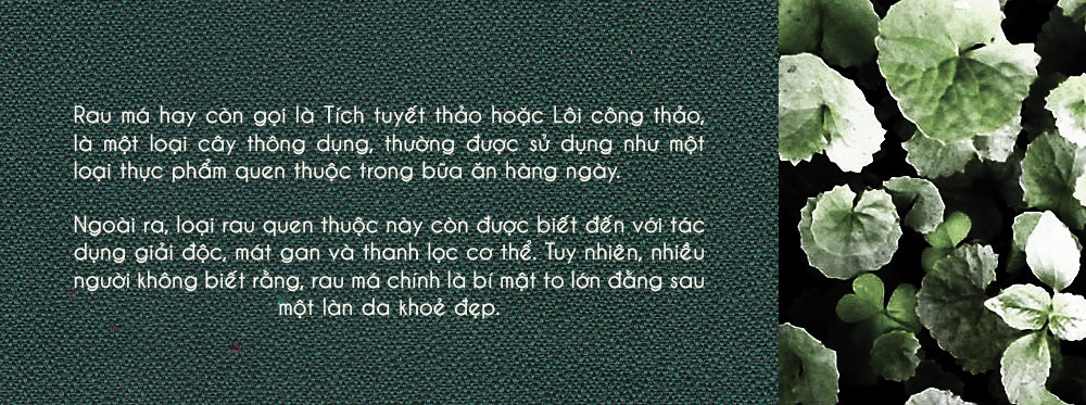 Tái tạo làn da với rau má, loại cây được biết đến như thần dược cho sắc đẹp. Khám phá tác dụng cải thiện làn da và sức khỏe từ rau má trong chăm sóc da. Những lợi ích không ngờ của rau má đã thu hút sự quan tâm của các tín đồ làm đẹp.