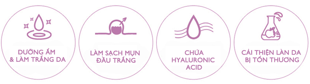 Bốn biểu tượng nổi bật từ dòng sản phẩm COSRX, thể hiện các tính năng nổi bật như dưỡng ẩm và làm trắng da, làm sạch mụn đầu trắng, chứa Hyaluronic Acid, cùng cải thiện làn da bị tổn thương, giúp đáp ứng nhu cầu dưỡng da hiệu quả cho làn da mụn.