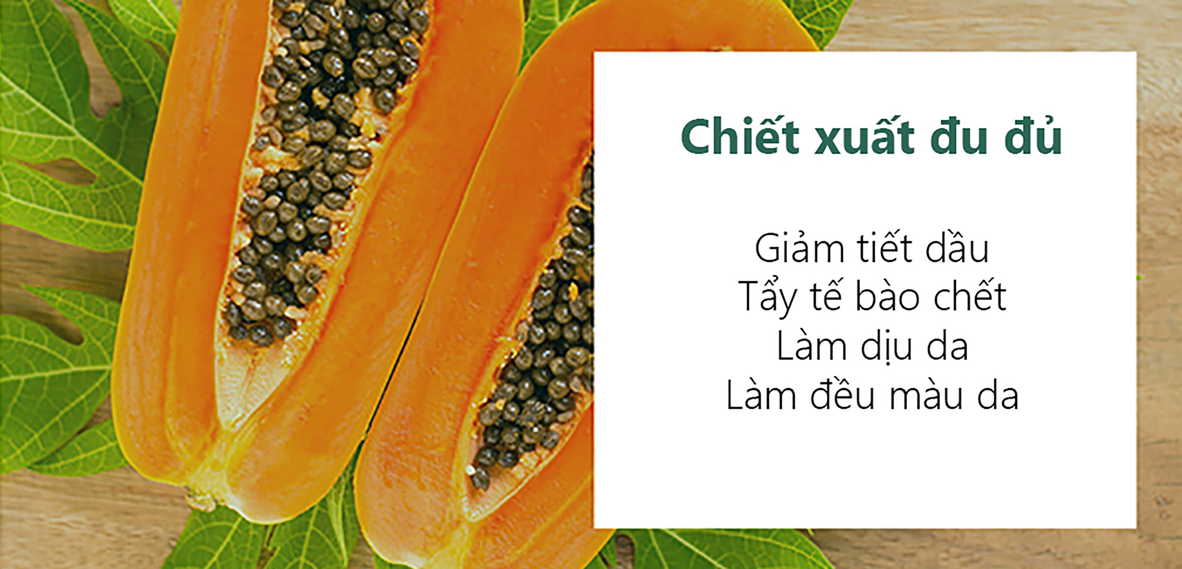 Chiết xuất đu đủ giúp giảm tiết dầu, tẩy tế bào chết, làm dịu da và làm đều màu da, phù hợp cho những ai đang gặp vấn đề về mụn đầu đen và da nhạy cảm.