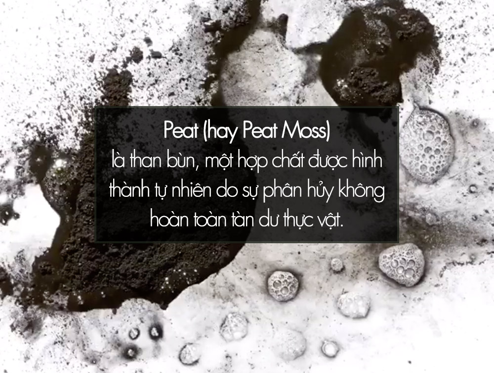Peat (hay Peat Moss) là than bùn, một hợp chất được hình thành tự nhiên do sự phân hủy không hoàn toàn tàn dư thực vật. Khám phá sức mạnh làm sạch và chống lão hóa từ Okame.