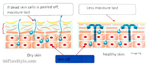 Hình minh họa sự khác biệt giữa da khô và da khỏe mạnh, cho thấy cách độ ẩm được duy trì và vai trò của tế bào da. Làm sáng da với vitamin C và công nghệ ion giúp cải thiện tình trạng này.