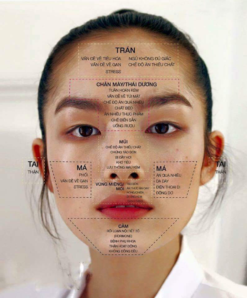 quy-trinh-duongd-da