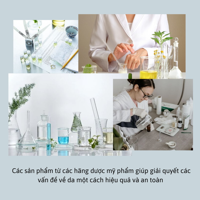 Da dầu mụn cần lựa chọn mỹ phẩm an toàn và hiệu quả. Các sản phẩm dược mỹ phẩm từ Paula's Choice, La Roche Posay, Eucerin, MediHeal giúp cải thiện tình trạng da. Khám phá 5 thương hiệu hàng đầu cho làn da sạch mụn!
