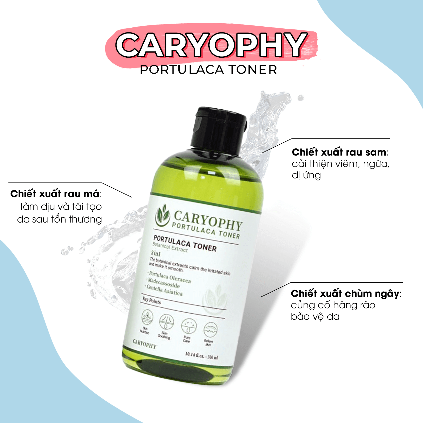 Toner Caryophy Portulaca giúp làm dịu và tái tạo da, kháng viêm, điều tiết dầu nhờn cho da dầu mụn. Tìm hiểu cách chăm sóc da dầu mụn hiệu quả với sản phẩm giá bình dân chưa đến 350k.