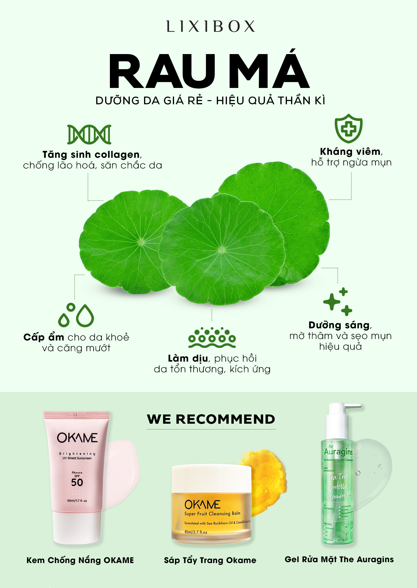 Dưỡng da từ rau má đang ngày càng phổ biến trong cộng đồng skincare. Bài viết khám phá các công dụng tuyệt vời của rau má, từ tăng sinh collagen, giảm mụn đến làm dịu da. Khám phá sản phẩm của OKAME Skincare và the auragins để hiệu quả chăm sóc da tối ưu.