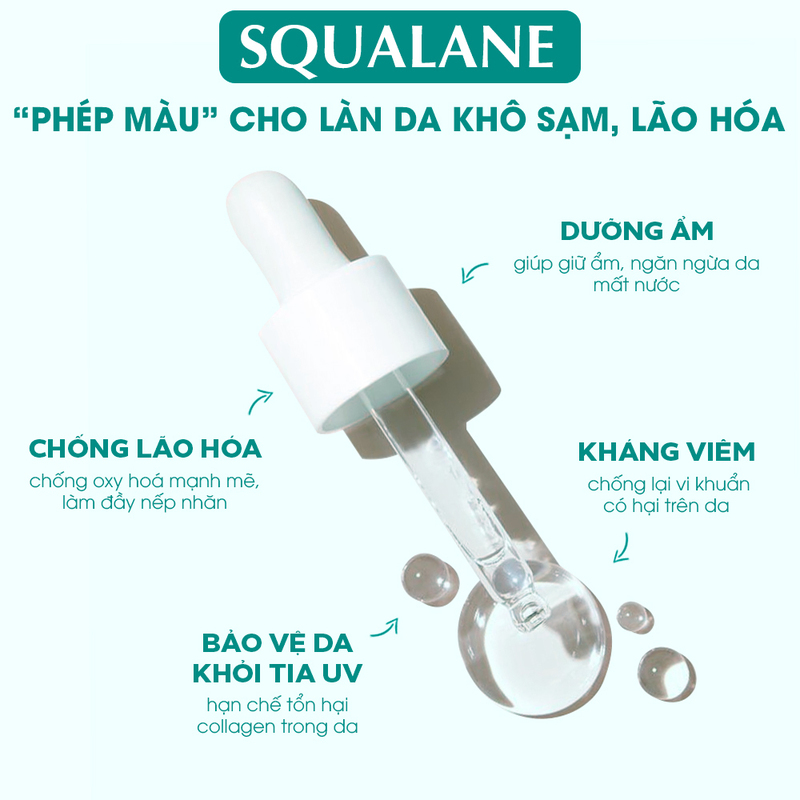 Squalane là thành phần cấp ẩm mạnh mẽ, giúp chống lão hóa hiệu quả cho làn da khô sạm. Bảo vệ da khỏi tia UV, ngăn ngừa lão hóa và cung cấp độ ẩm cần thiết.