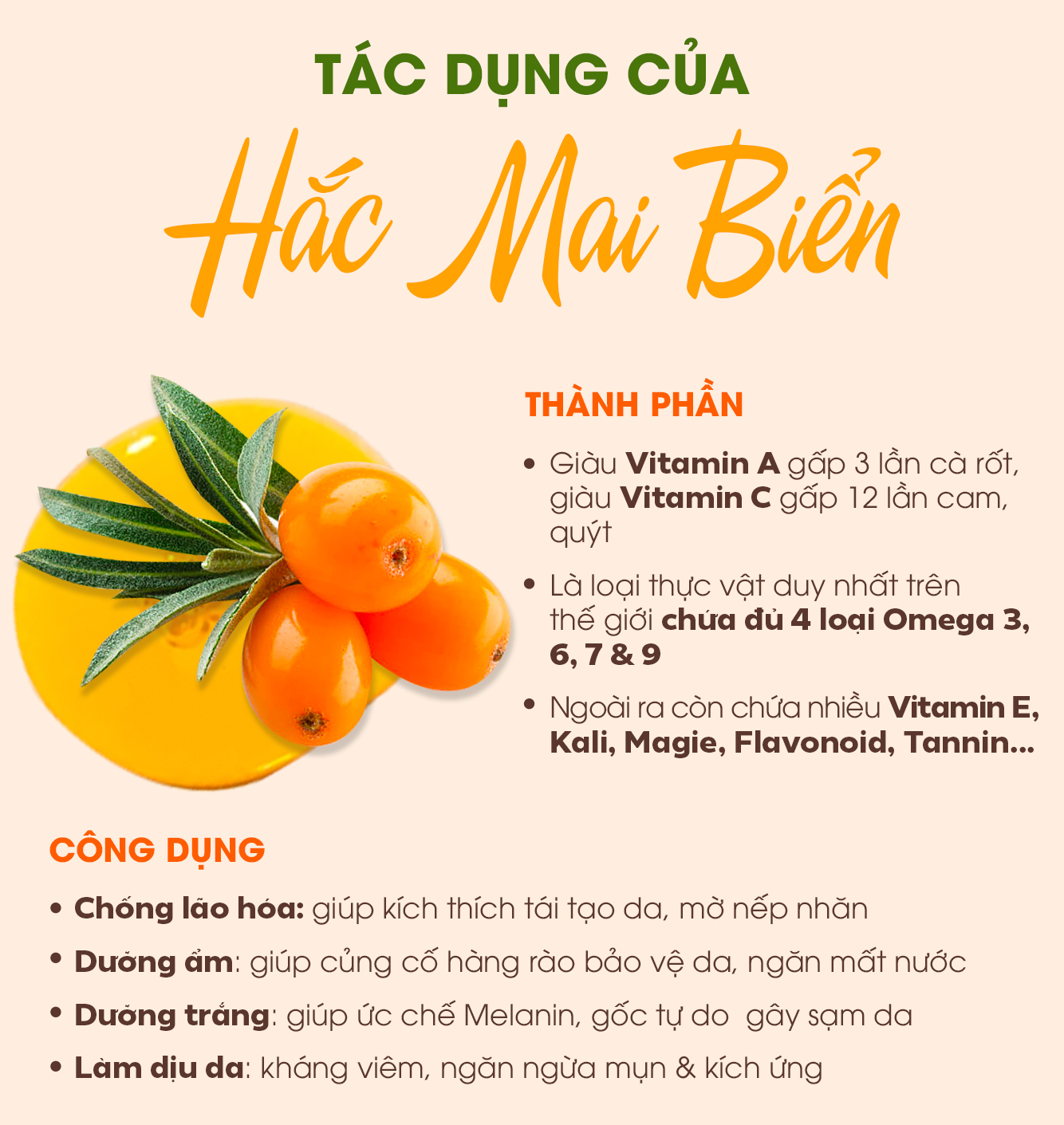 Tác dụng của Hắc Mai Biển với thành phần chống lão hóa tự nhiên. Giàu Vitamin A gấp 3 lần cà rốt, Vitamin C gấp 12 lần cam, giúp tái tạo da, ngăn ngừa lão hóa và làm dịu da. Khám phá công dụng và cách sử dụng Hắc Mai Biển trong làm đẹp.