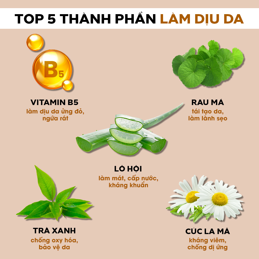 Bài báo về 5 thành phần làm dịu da, bao gồm Vitamin B5, Rau má, Lô hội, Trà xanh và Cúc la mã, giúp bảo vệ và tái tạo làn da nhạy cảm, hiệu quả trong việc giảm kích ứng, làm mát và cấp nước.