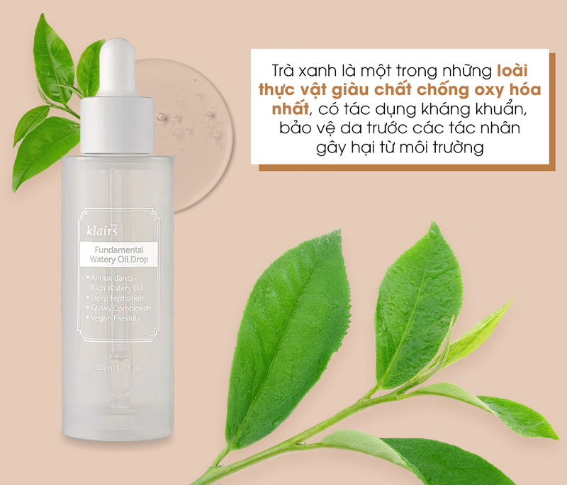 5 thành phần làm dịu da tức thì cho da nhạy cảm, gồm trà xanh, giúp làm giảm kích ứng và bảo vệ da khỏi tác động xấu từ môi trường trong quy trình skincare.