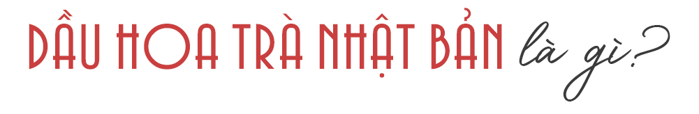 Dầu hoa trà Nhật Bản là một "thần dược dưỡng ẩm" giúp da căng mướt ngay khi sử dụng, chứa dưỡng chất có thể "hồi sinh" làn da khô rát, tổn thương, và là bí quyết làm đẹp không tuổi của các nàng Geisha.