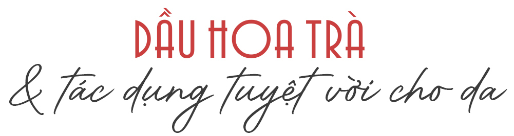 Dầu hoa trà Nhật Bản được biết đến như một "thần dược dưỡng ẩm" giúp phục hồi da ngay lập tức. Khám phá tầm quan trọng của dầu hoa trà và tác dụng tuyệt vời cho da trong chăm sóc sắc đẹp.