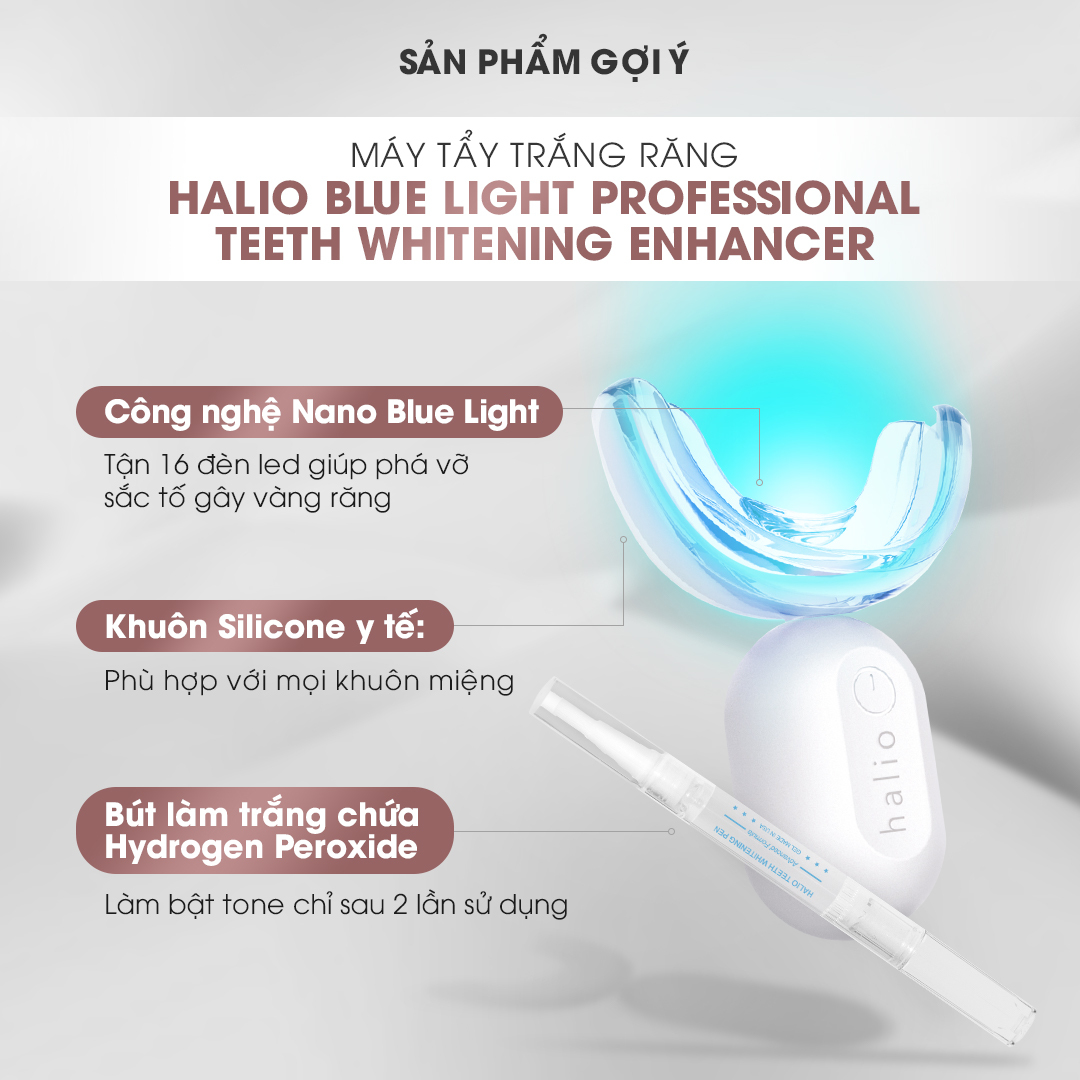 bàn chải điện halio