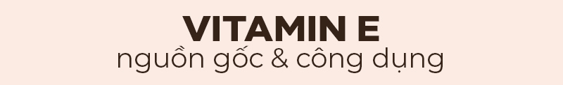 Nội dung bài viết hướng dẫn cách dùng vitamin E cho da, phân tích nguồn gốc và công dụng của vitamin E, có nên bôi vitamin E lên da cũng như lợi ích và thành phần mỹ phẩm từ vitamin E, phù hợp cho tín đồ làm đẹp. GWP, GWP Vietnam, GWP Lixibox.
