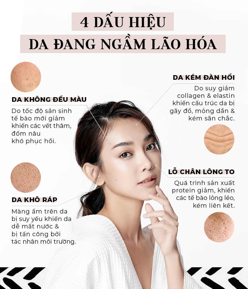 4 dấu hiệu ngầm cảnh báo da lão hóa từ bên trong: da không đều màu, da kém đàn hồi, da khô ráp, lỗ chân lông to. Khám phá bí quyết chống lão hóa, chăm sóc da và ngăn chặn dấu hiệu lão hóa sớm để giữ gìn vẻ trẻ trung.