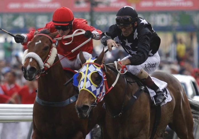 Yankee Bell Hippisme 20e journee