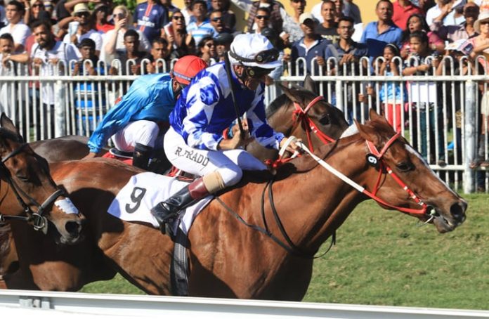 Hippisme