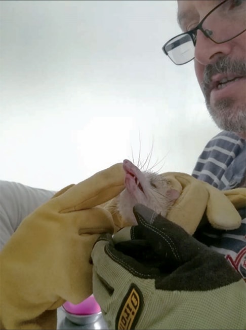 A Bois Rouge All Life Matters Le Refuge Des Bêtes