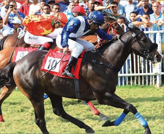 Hippisme