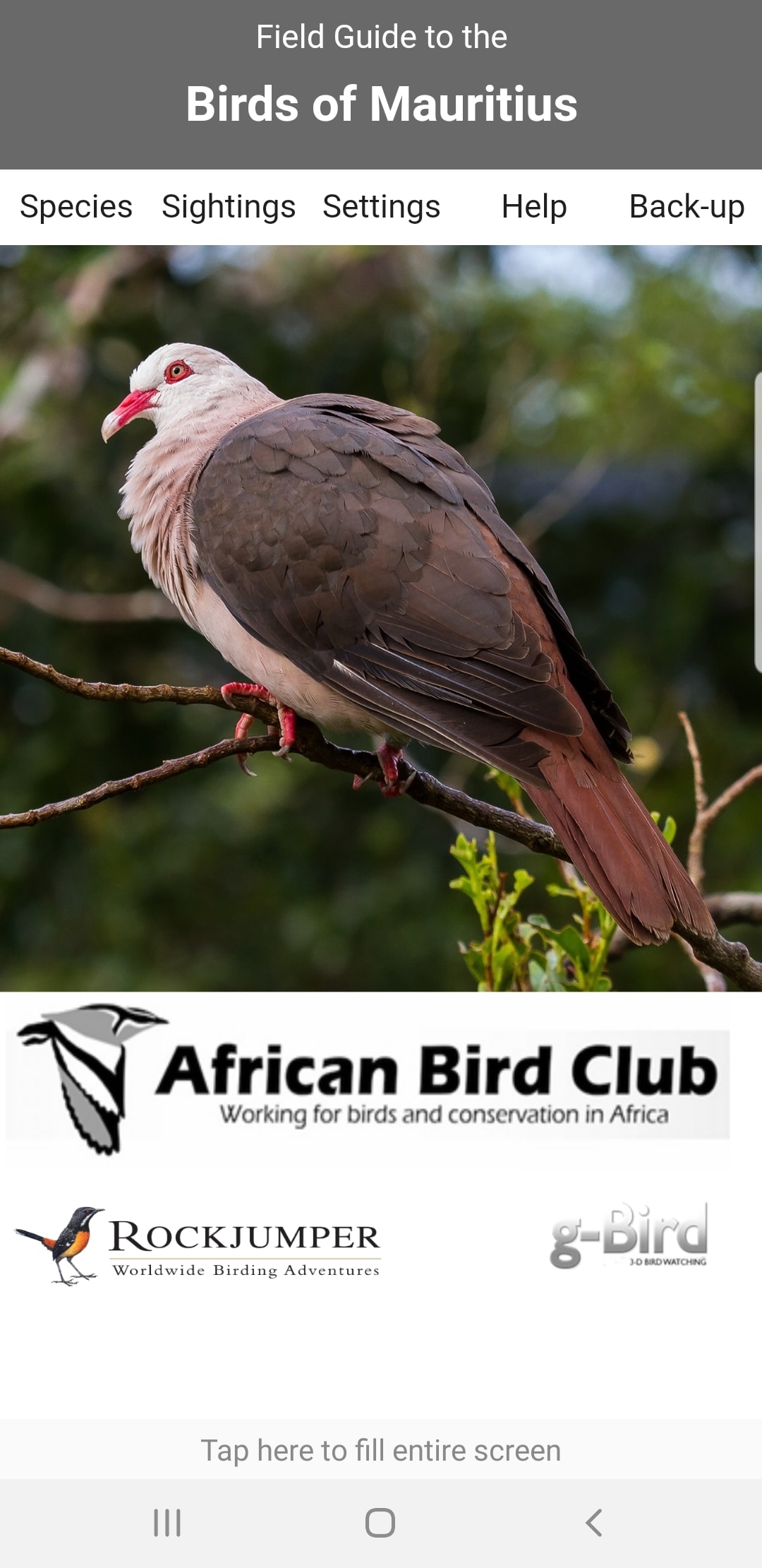 Birds of Mauritius App La technologie au service de la conservation