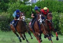Training : Le début de saison se fait sentir