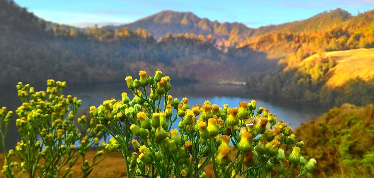 Summit Semeru, Libur Natal & Tahun Baru