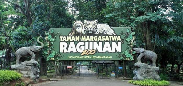 Outdoor Activities for Kids in Jakarta