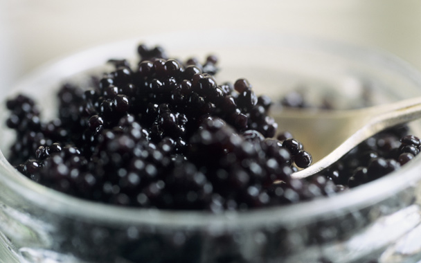 Caviar