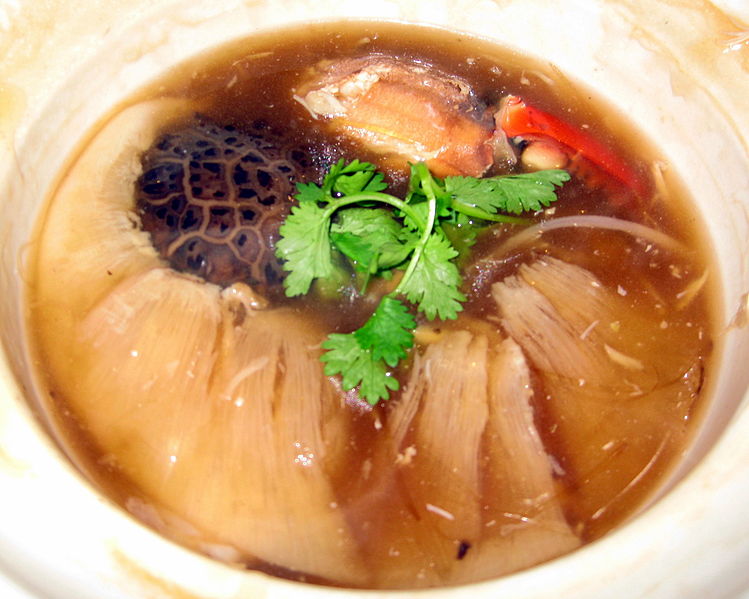 Shark\'s Fin