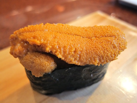 Uni / sea urchin