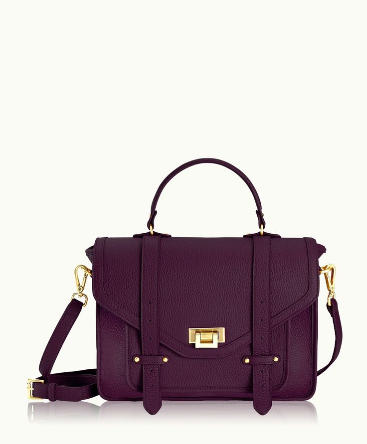 Wine Satchel