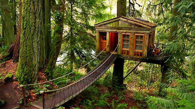 Treehouse
