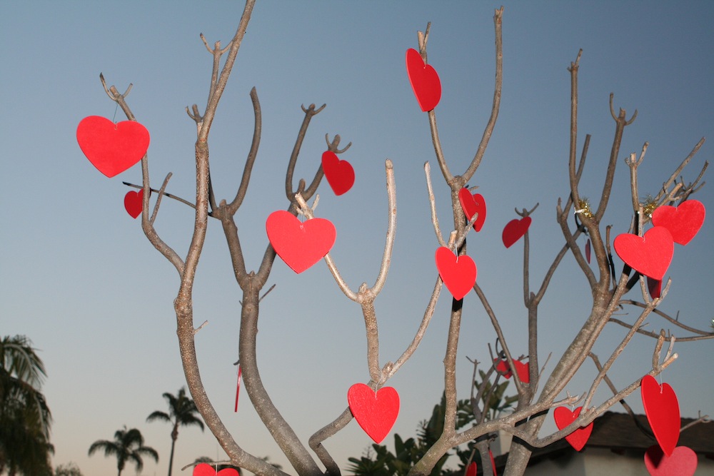 valentine's day gift ideas for him