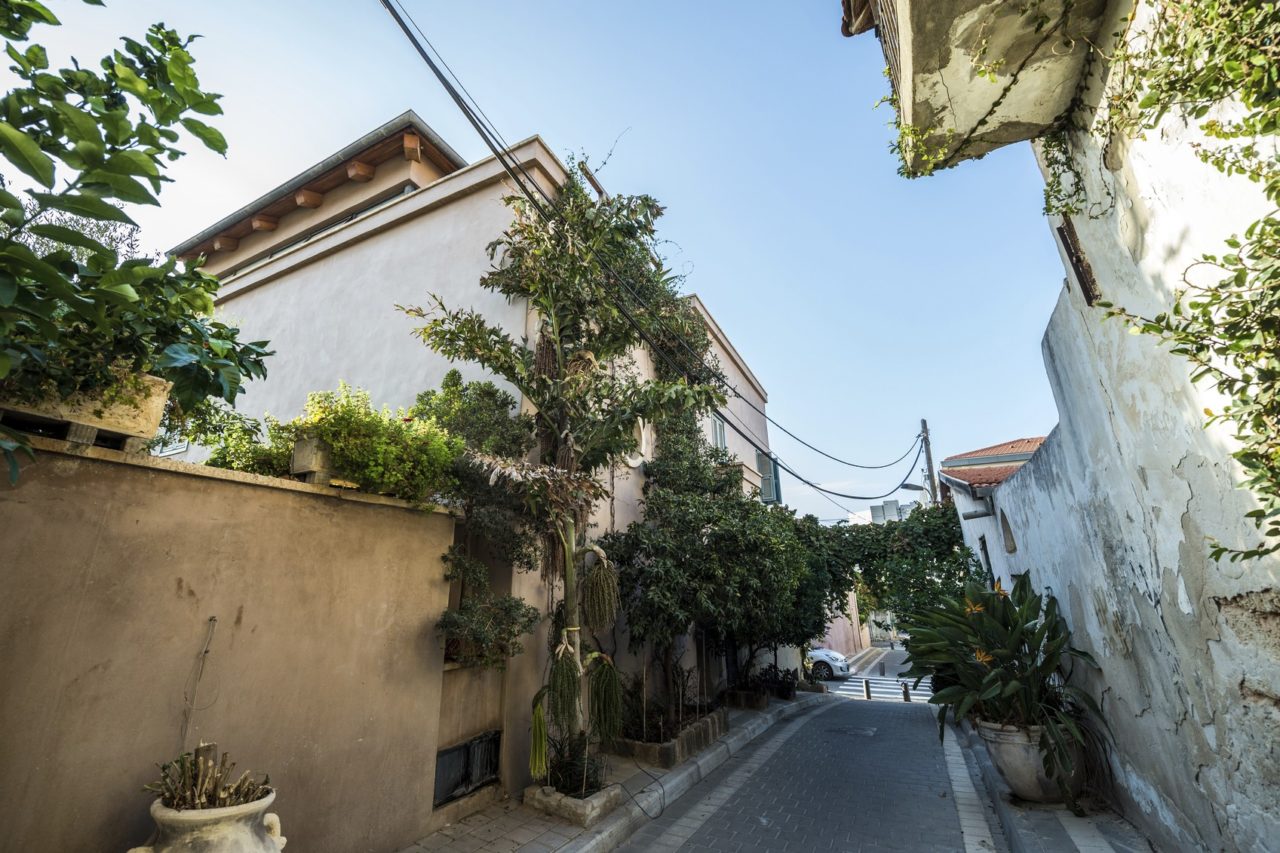 luxuo-id-nevek-tzedek