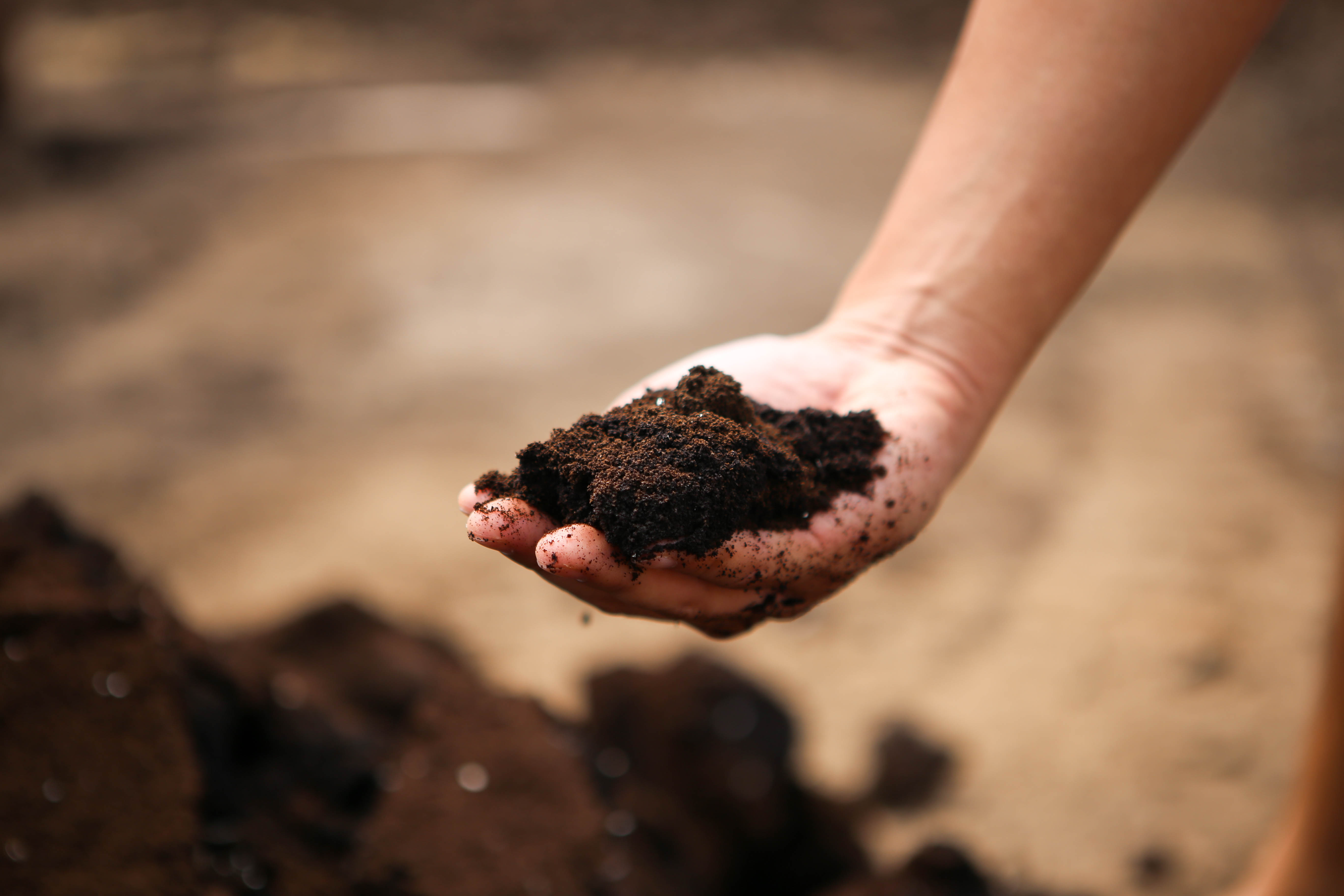 Energy-dense used Nespresso coffee grounds are mixed into the compost, which is then left to ferment for 6 months before being used at Quan Fa Organic Farm.