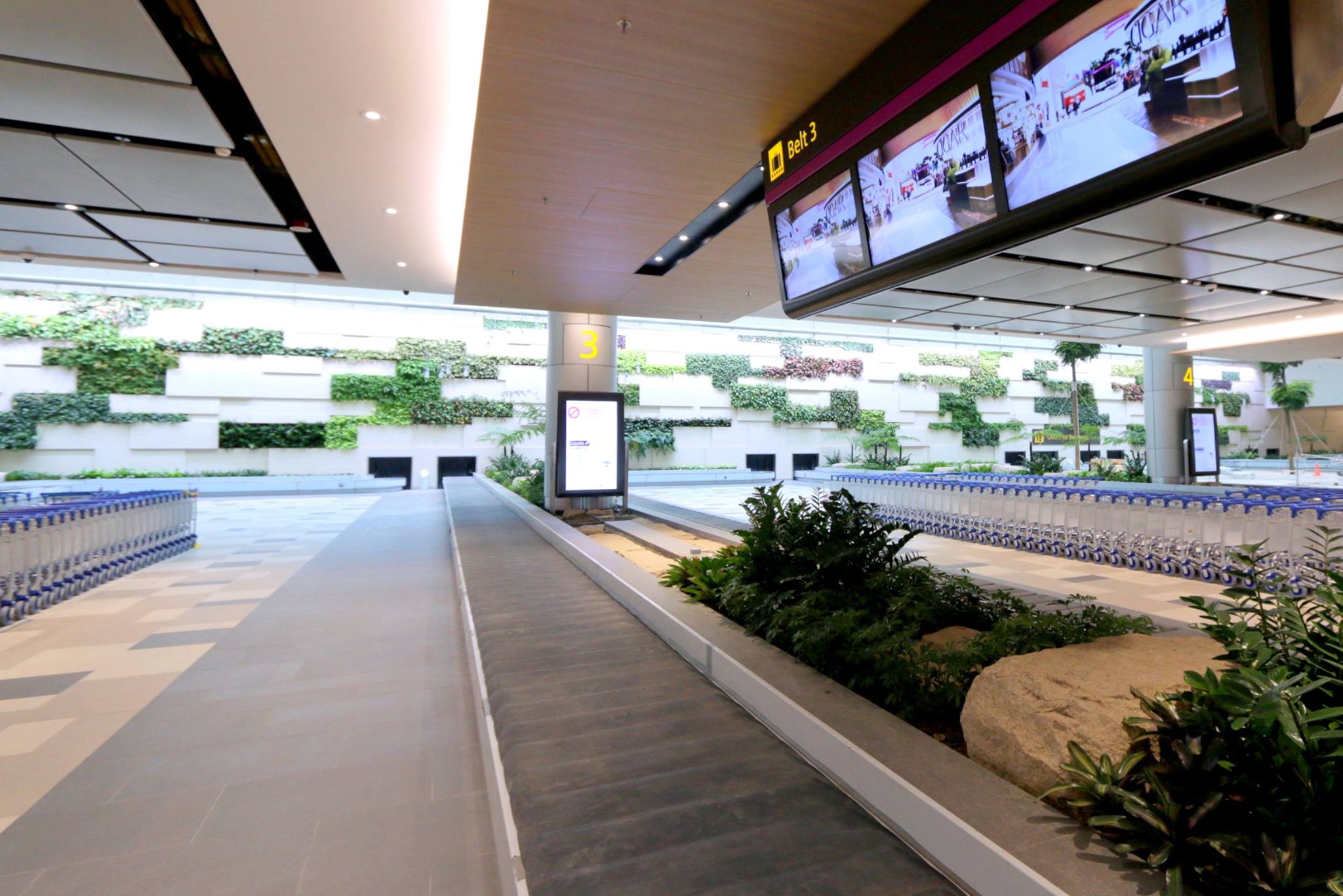 You'll bask in natural light against greenery on the walls of new Changi Airport Terminal 4 Arrival Hall.