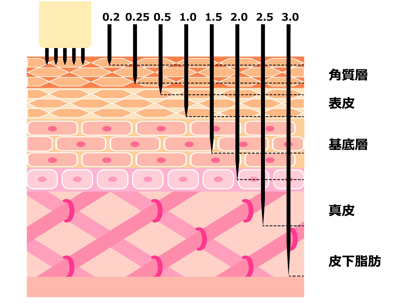 跟著皮皮醫生變漂亮，媽媽必備的「傷口照護」小常識 | 嬰兒與母親