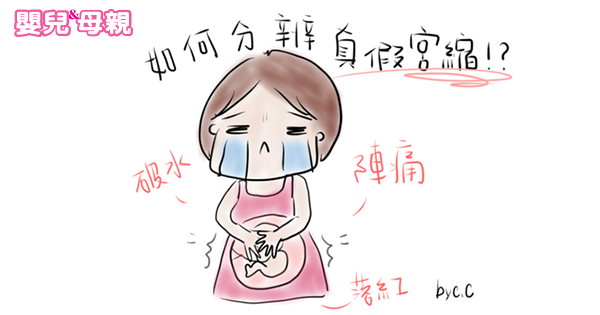 一張圖教妳看懂新手孕媽咪難以分辨的真 假宮縮 嬰兒與母親