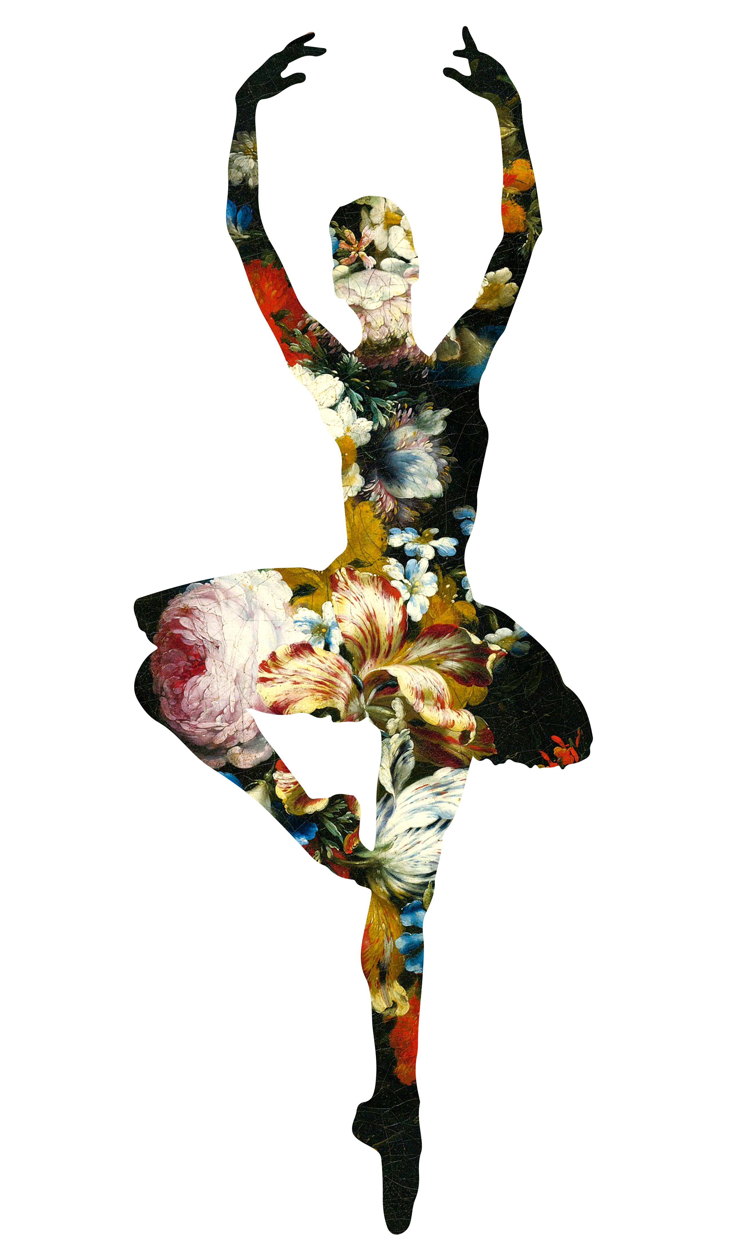 Agent X - En dedans pirouette avec des fleurs 2MB.jpg
