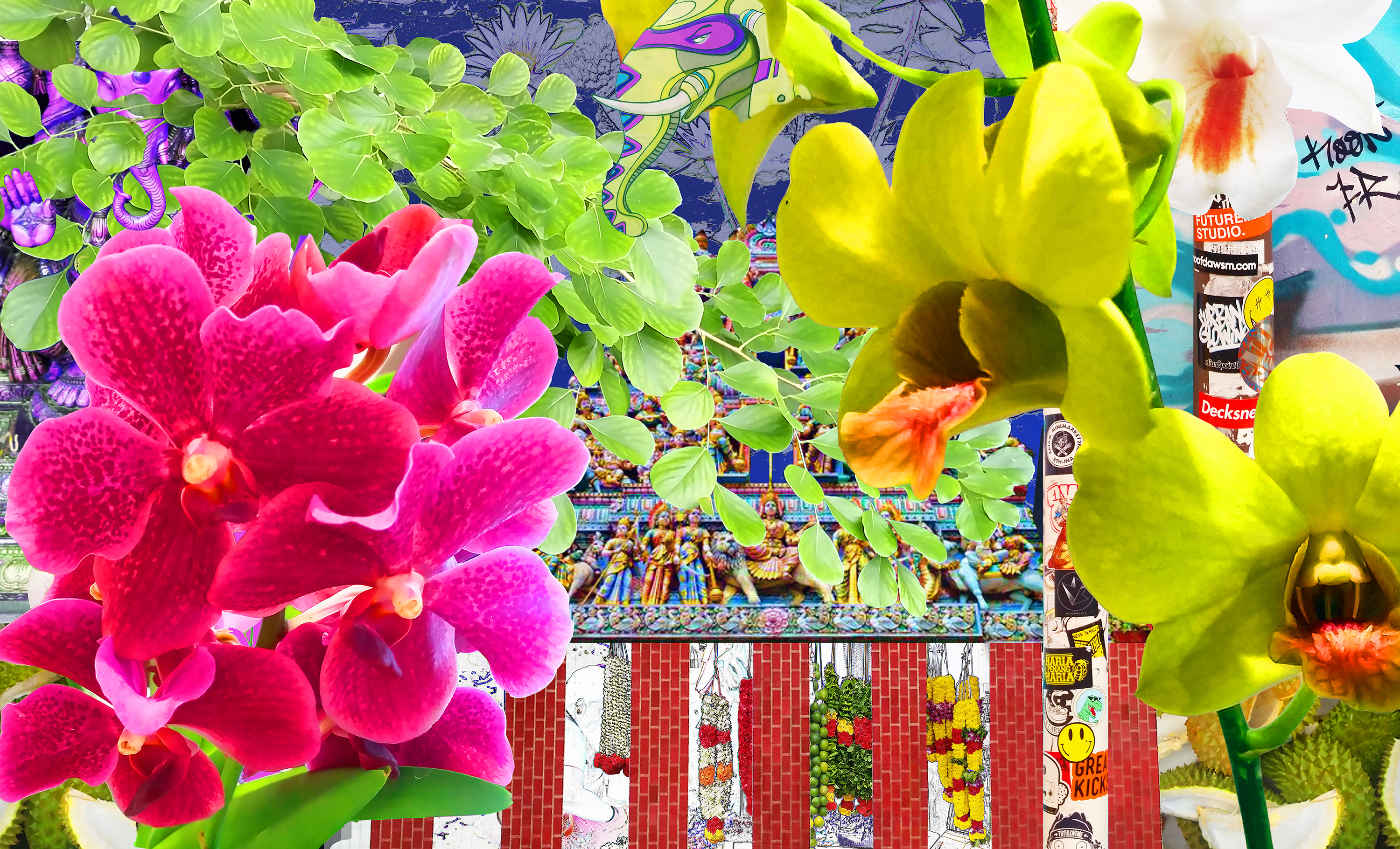Fiona Carney - Little India.jpg