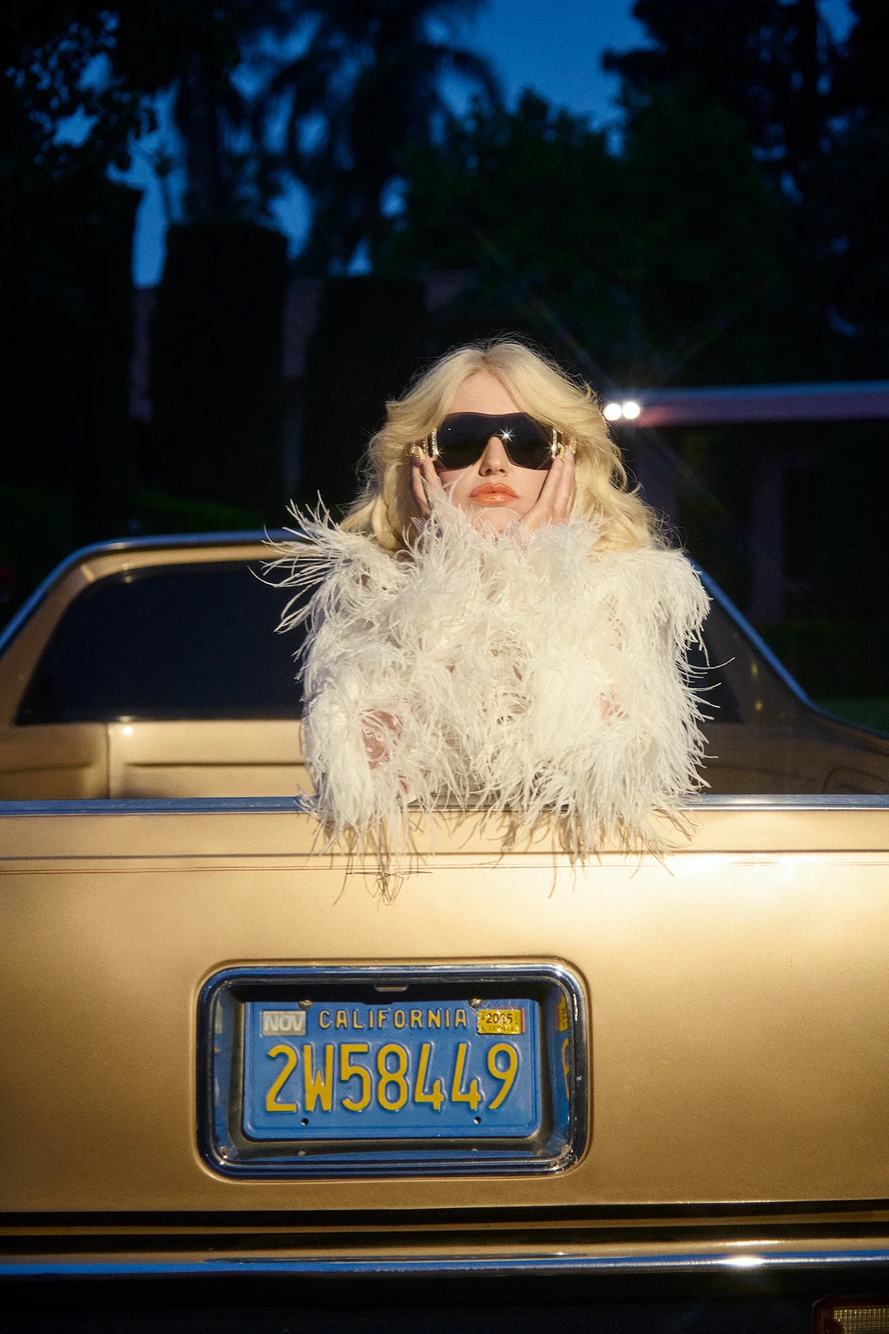 Jamie Nelson - Champagne Problems - California Dreamin'.jpg