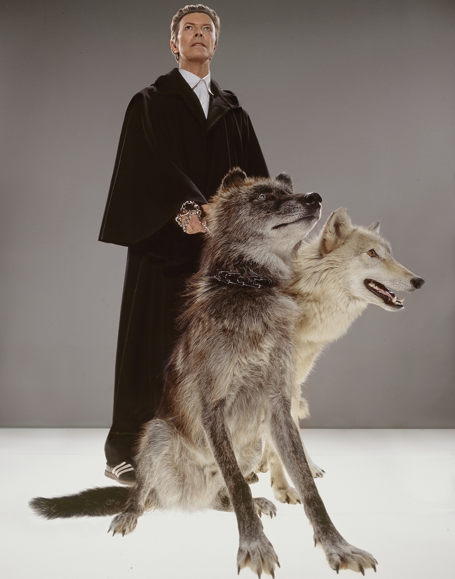 Markus Klinko - David Bowie, The Pack (2002).jpg
