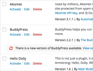 update-pantas-dalam-wordpress