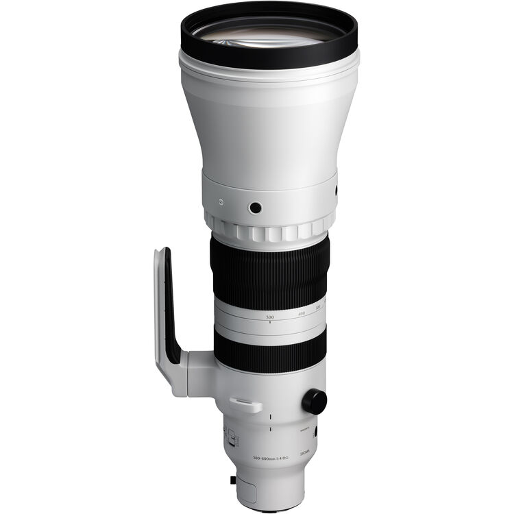 Sigma 300-600mm f/4 DG OS Sports Lens (Sony E)