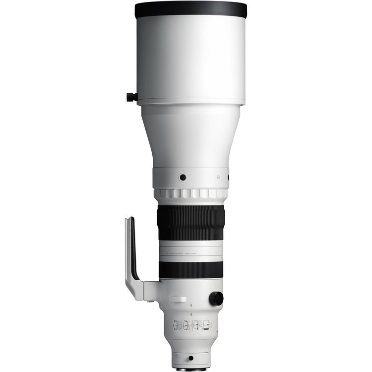 Sigma 300-600mm f/4 DG OS Sports Lens (Sony E)