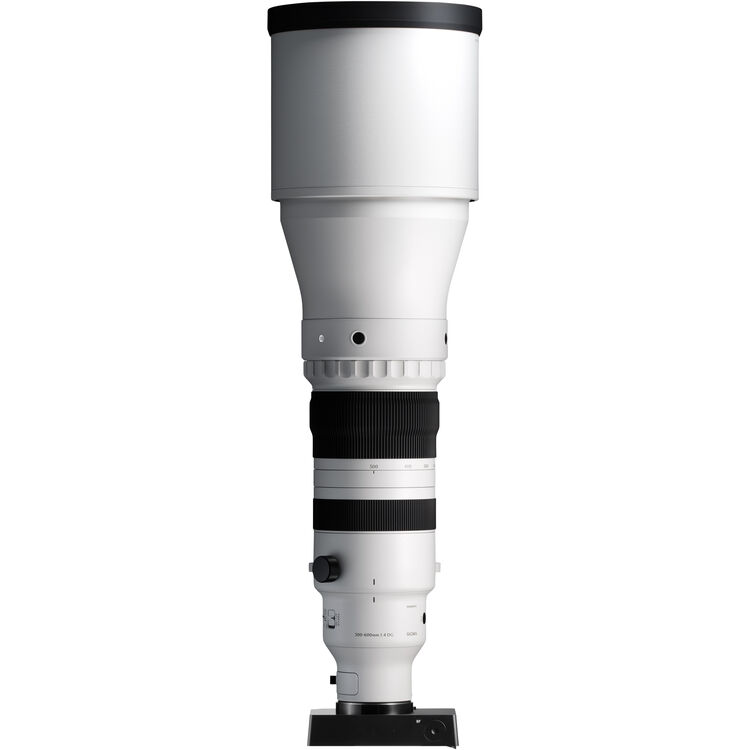 Sigma 300-600mm f/4 DG OS Sports Lens (Sony E)