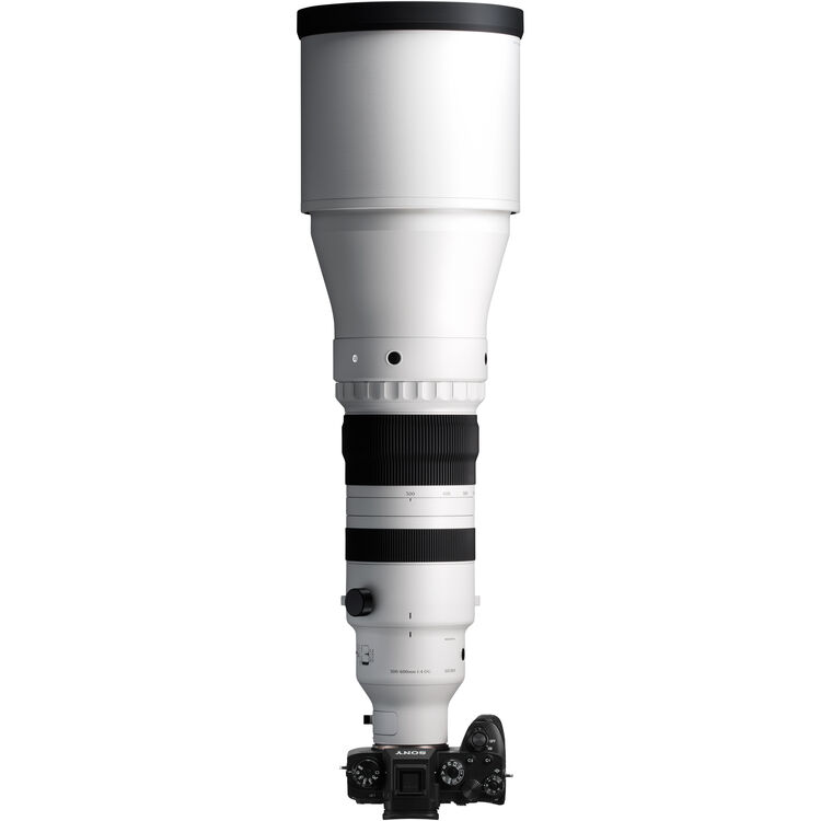 Sigma 300-600mm f/4 DG OS Sports Lens (Sony E)