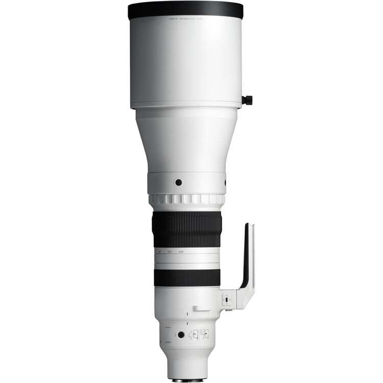 Sigma 300-600mm f/4 DG OS Sports Lens (Sony E)